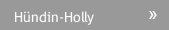 Hündin-Holly Hündin-Holly