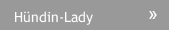 Hündin-Lady Hündin-Lady