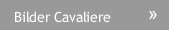 Bilder Cavaliere Bilder Cavaliere